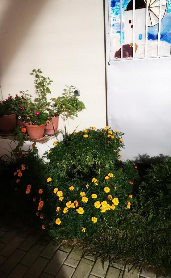 Iliana'S House Διαμέρισμα Νάουσα Ημαθίας Εξωτερικό φωτογραφία