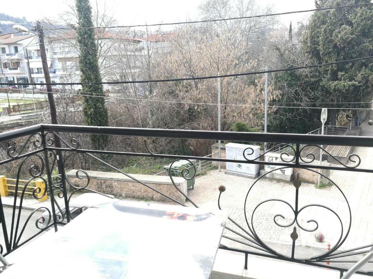 Iliana'S House Διαμέρισμα Νάουσα Ημαθίας Εξωτερικό φωτογραφία